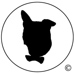 AndyNJuice Logo Solid Black